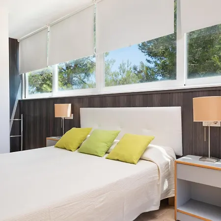 Vauma -
