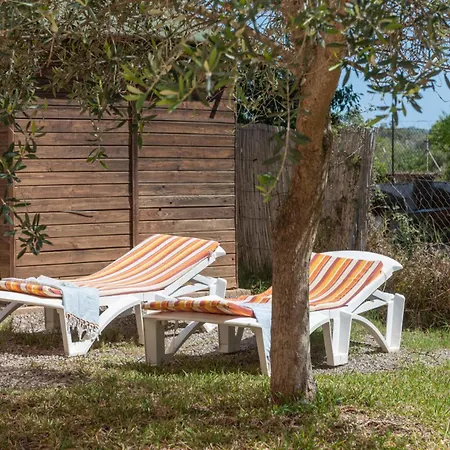 Vauma -
